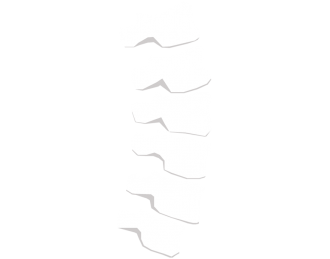 Ergonomic Spine Diagram